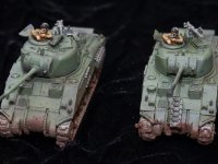 British Paras  (7 of 16)  Fireflies